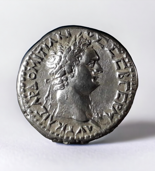 Ancient Roman Coin Domitian