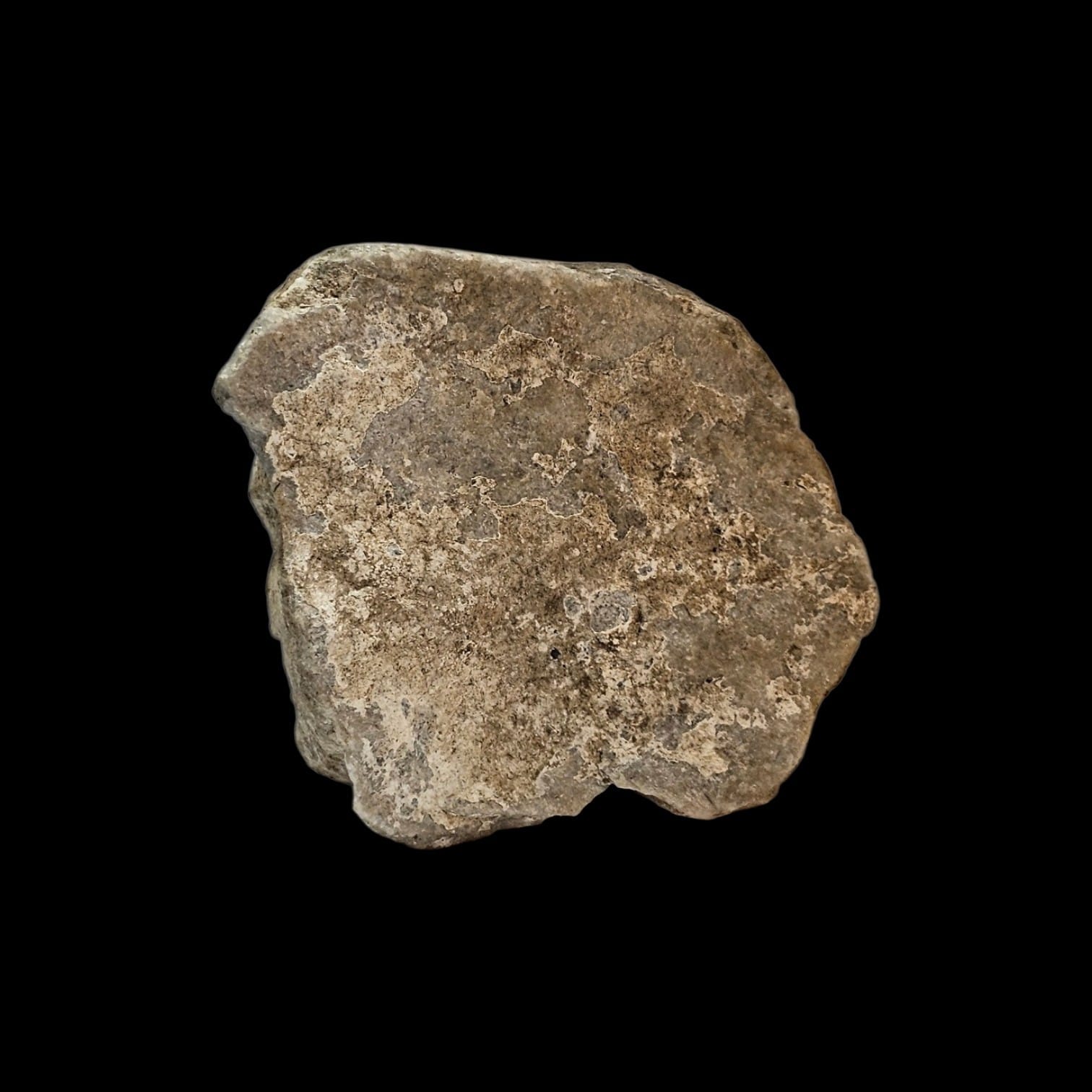 T1132A